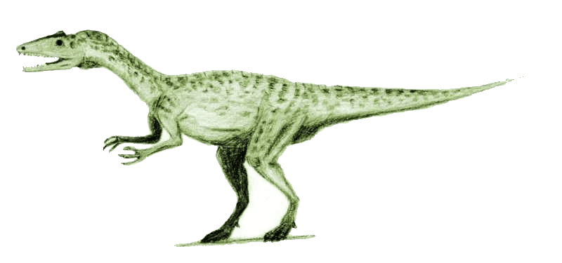 Liliensternus — illustration