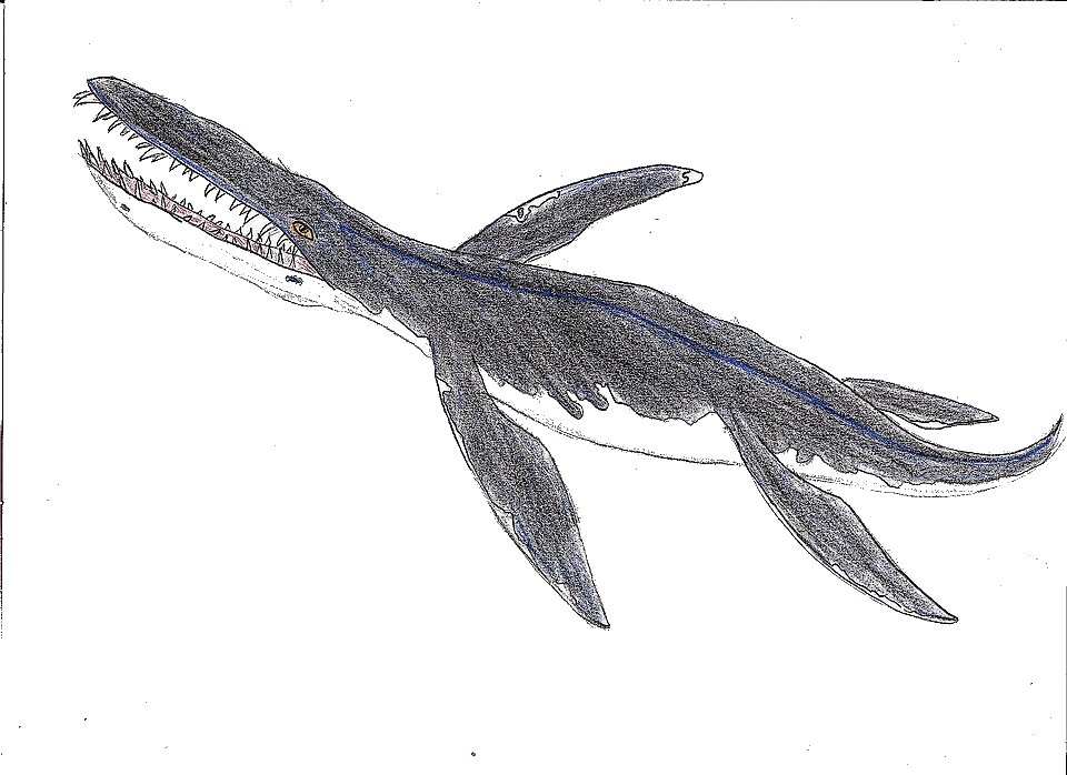 Liopleurodon — illustration