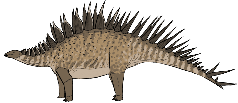 Loricatosaurus — illustration