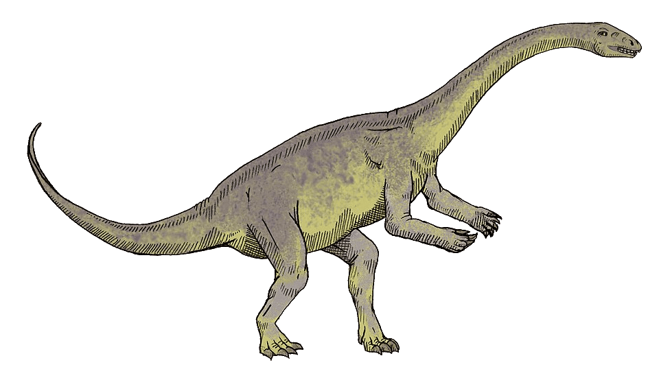 Lufengosaurus — illustration