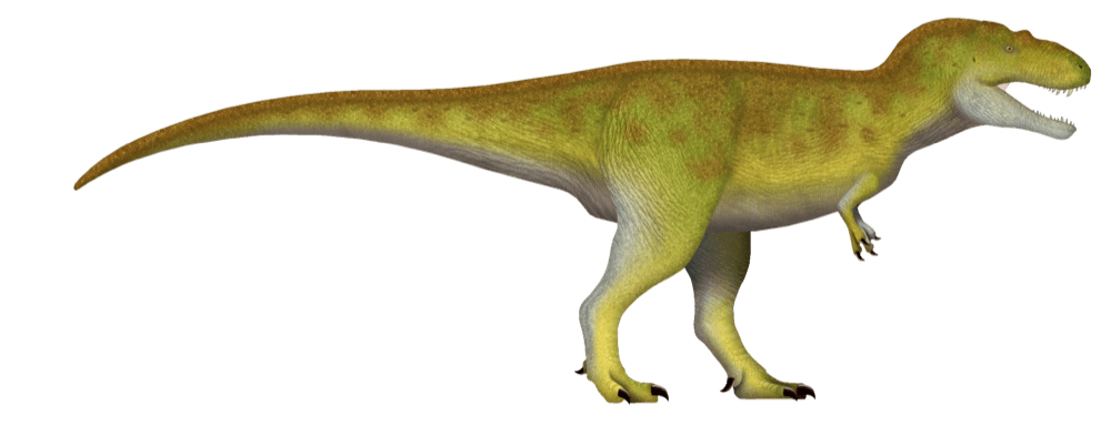 Lythronax