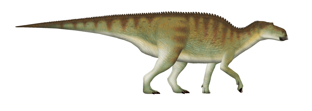 Maiasaura — illustration
