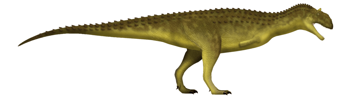 Majungasaurus — illustration