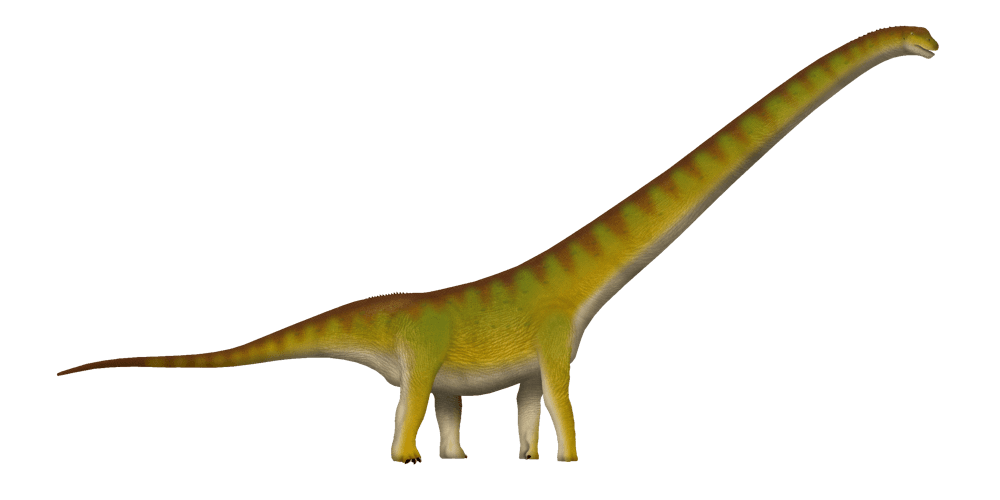 Mamenchisaurus — illustration