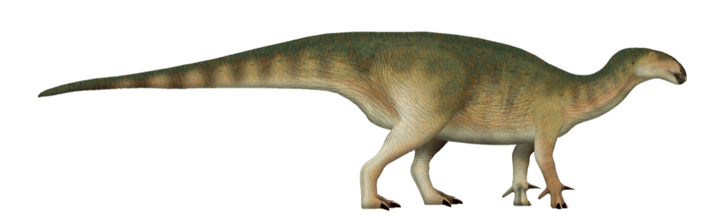 Mantellisaurus
