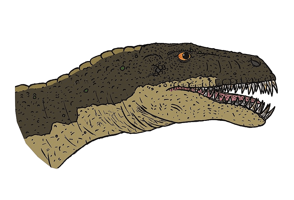 Masiakasaurus — illustration