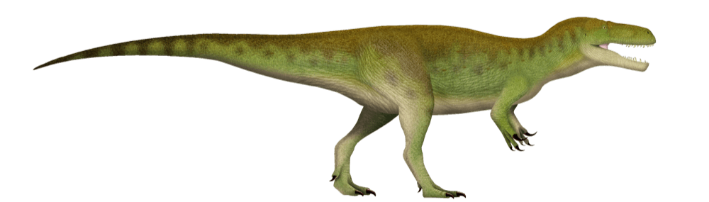 Megalosaurus — illustration