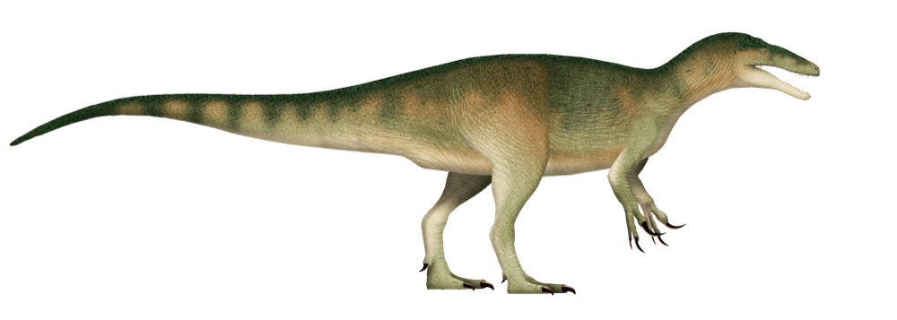 Megaraptor