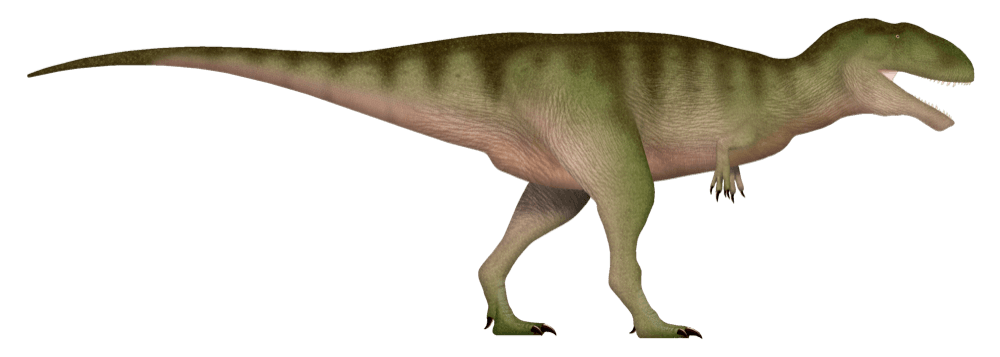 Meraxes