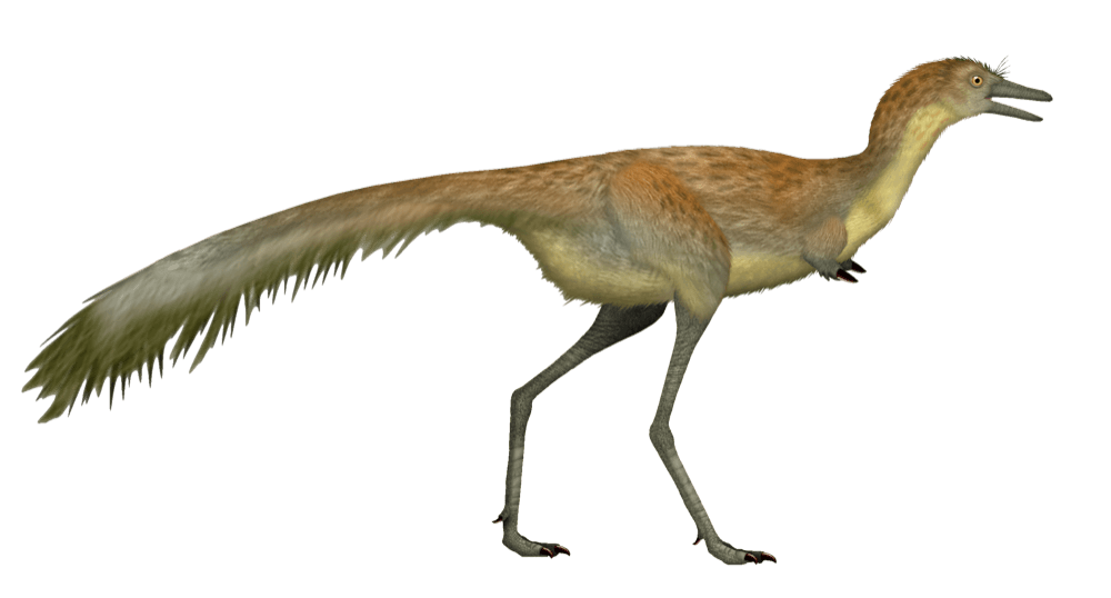 Mononykus