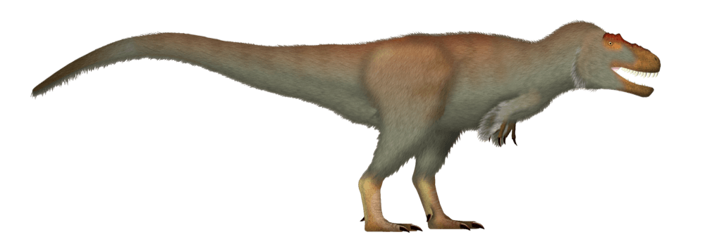 Nanuqsaurus