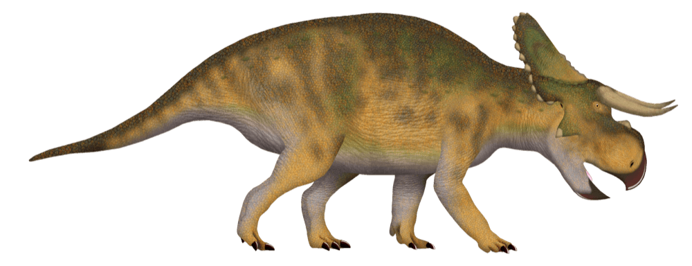 Nasutoceratops