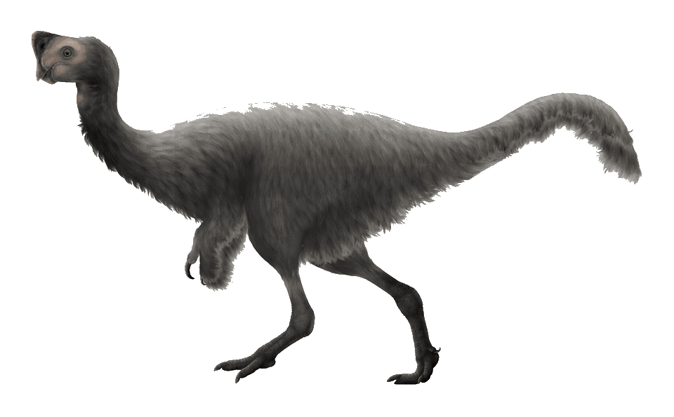 Nemegtomaia — illustration