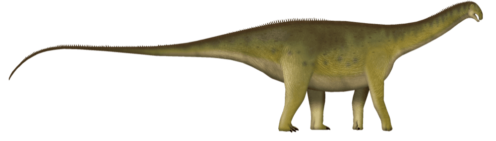 Nigersaurus — illustration