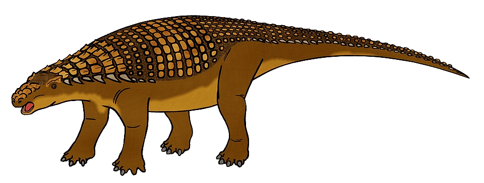 Nodosaurus — illustration