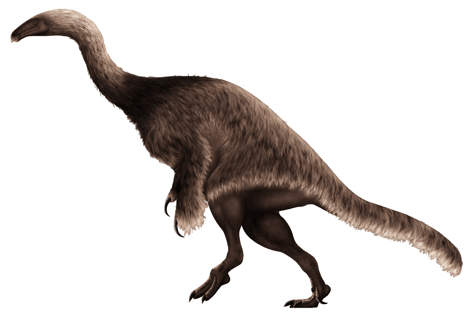 Nothronychus — illustration