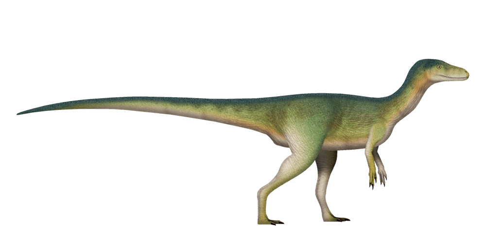 Nyasasaurus — illustration
