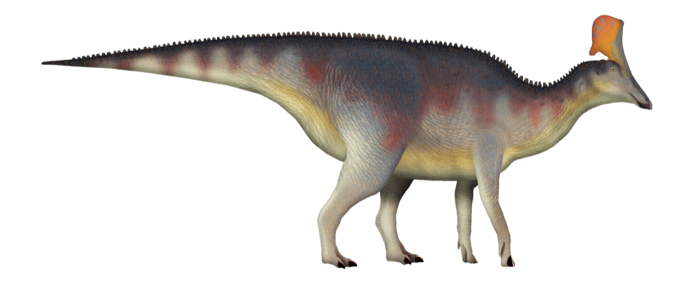 Olorotitan