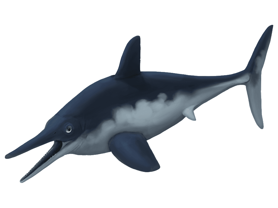 Ophthalmosaurus — illustration