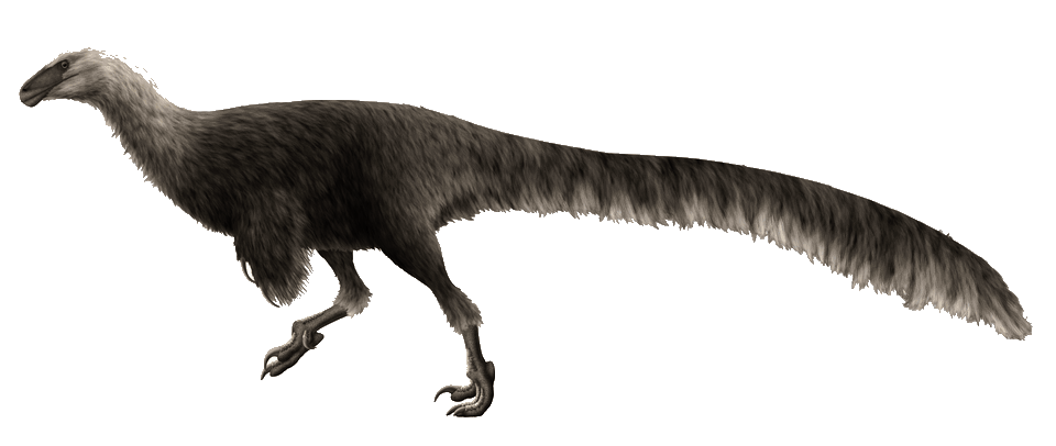 Ornitholestes — illustration