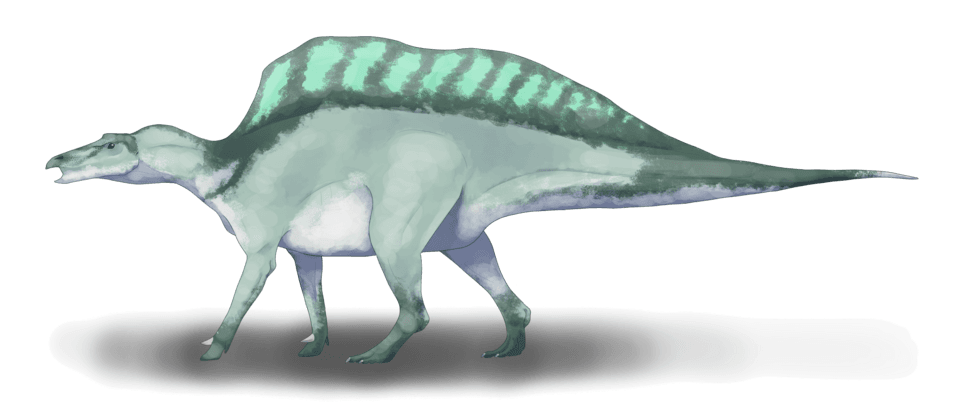 Ouranosaurus — illustration