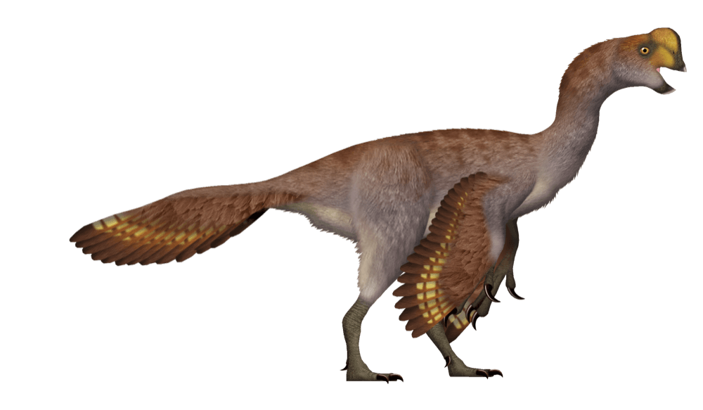 Oviraptor — illustration