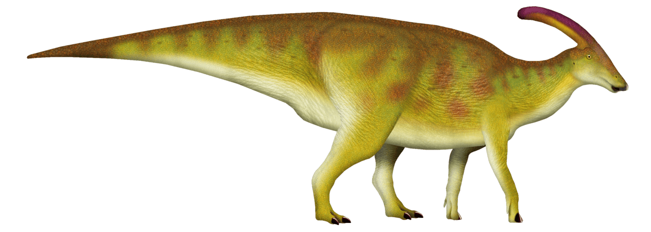 Parasaurolophus — illustration