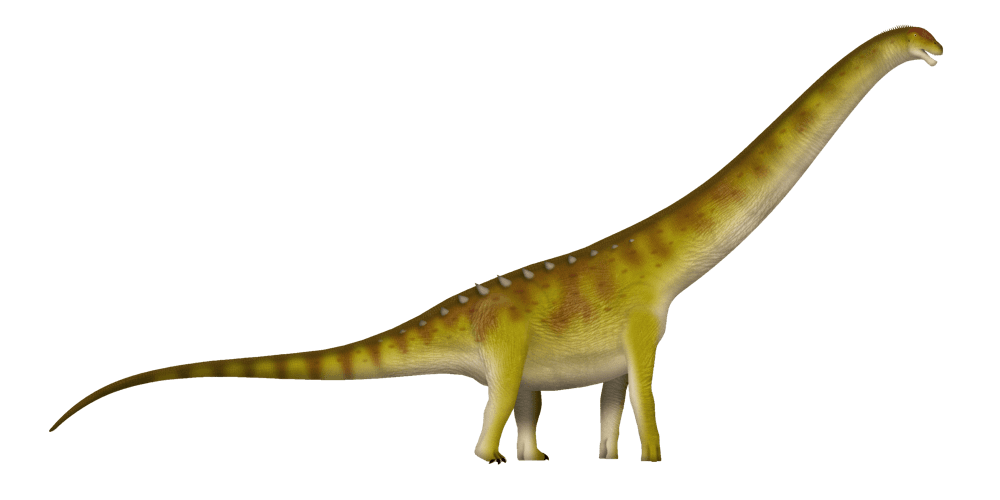 Patagotitan