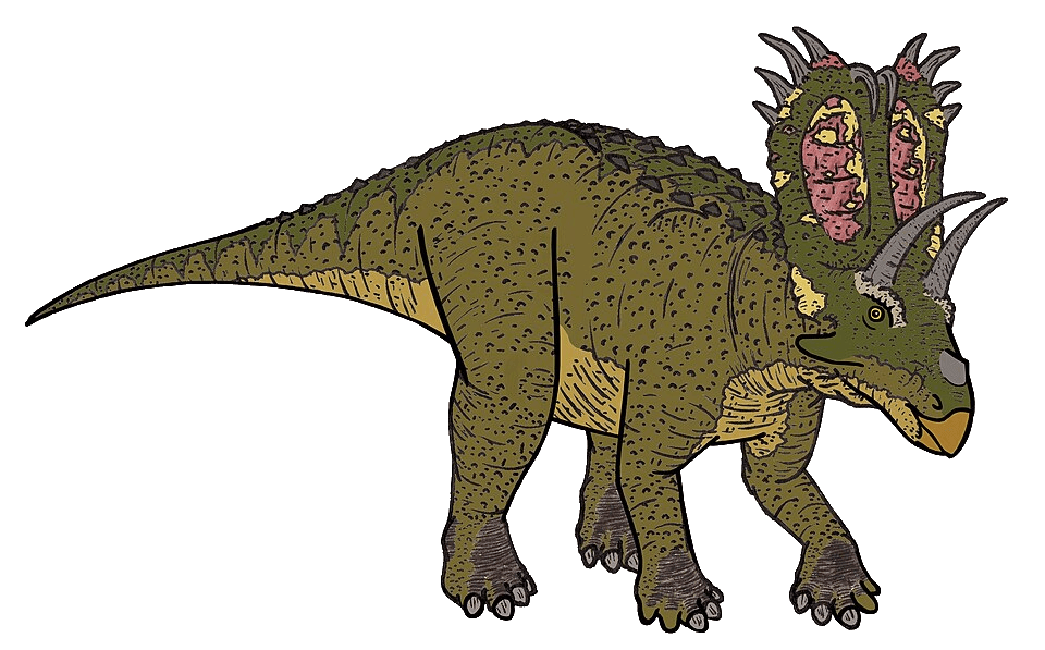 Pentaceratops — illustration