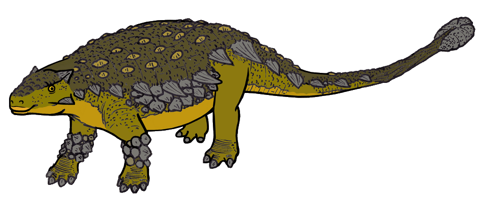 Pinacosaurus — illustration