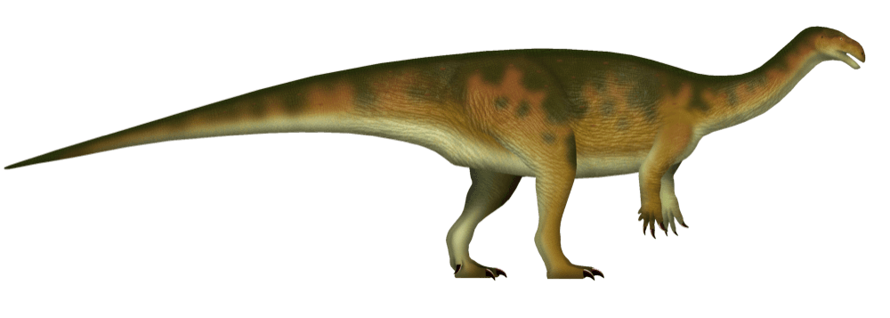Plateosaurus — illustration