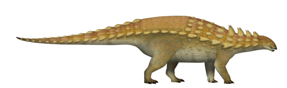 Polacanthus