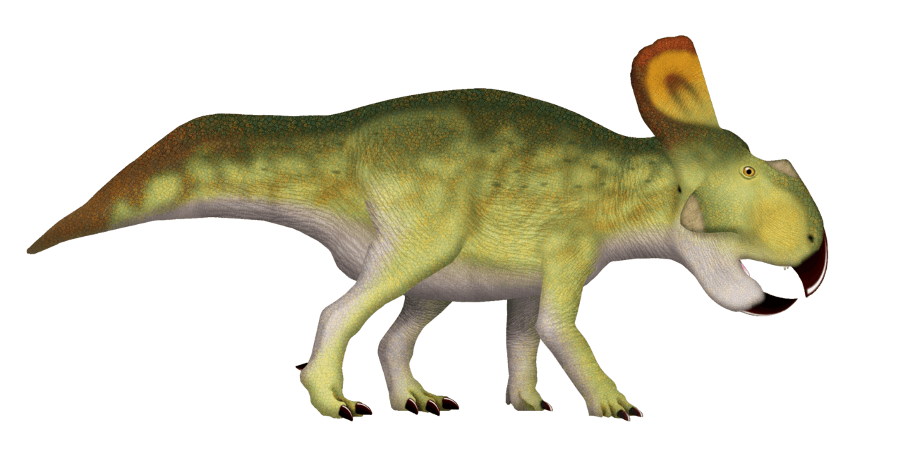 Protoceratops — illustration
