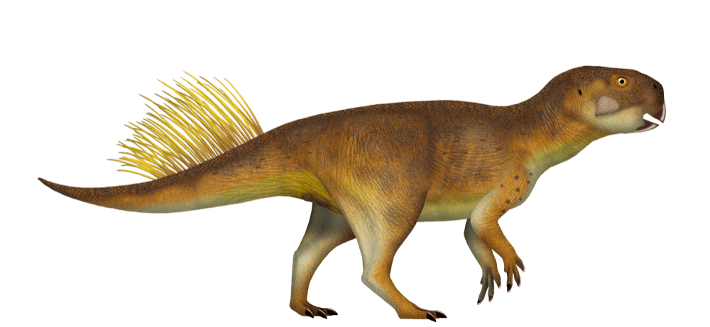 Psittacosaurus — illustration
