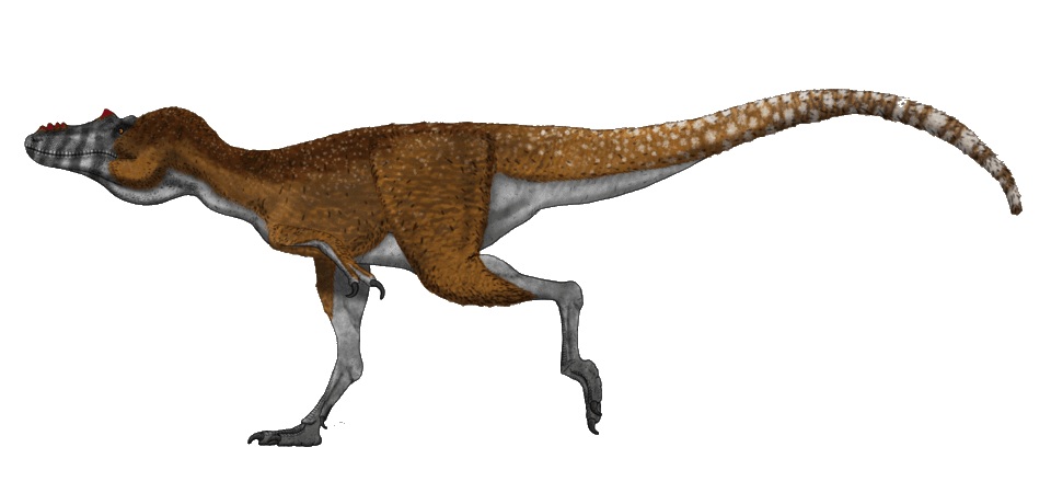Qianzhousaurus — illustration