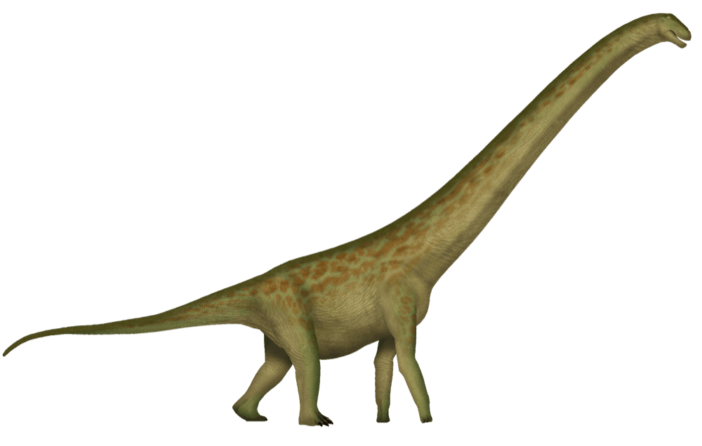 Rapetosaurus