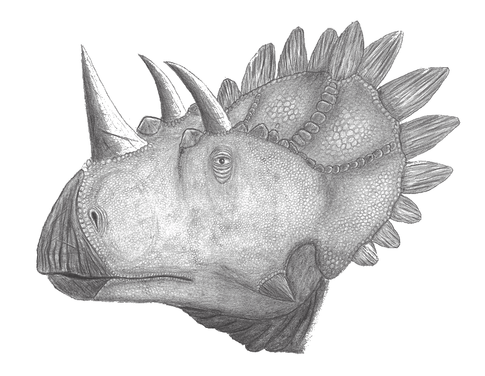 Regaliceratops — illustration