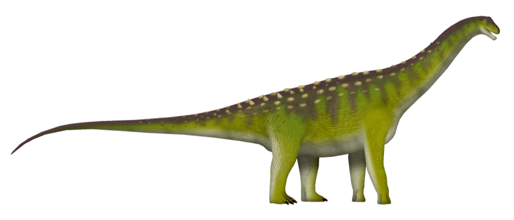 Saltasaurus