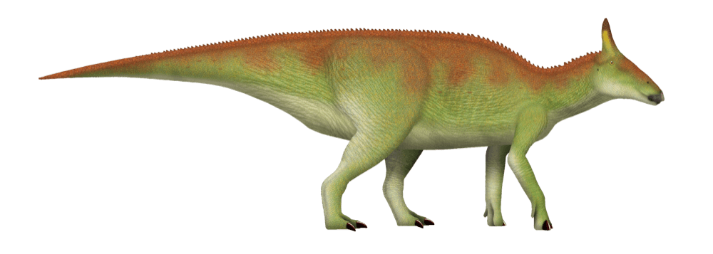 Saurolophus