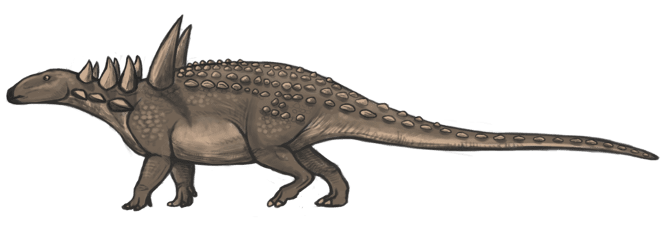 Sauropelta — illustration