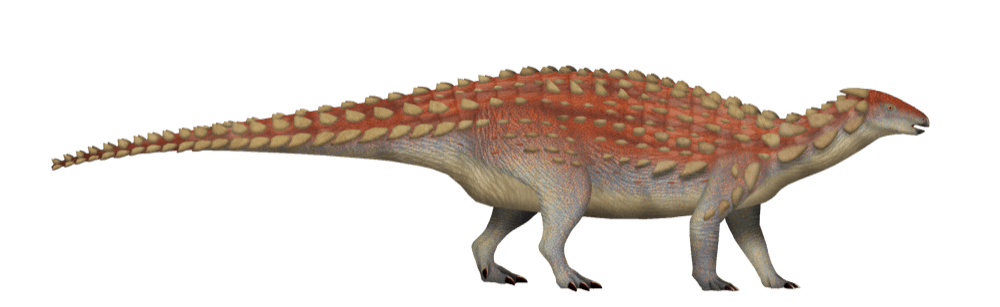 Scelidosaurus — illustration