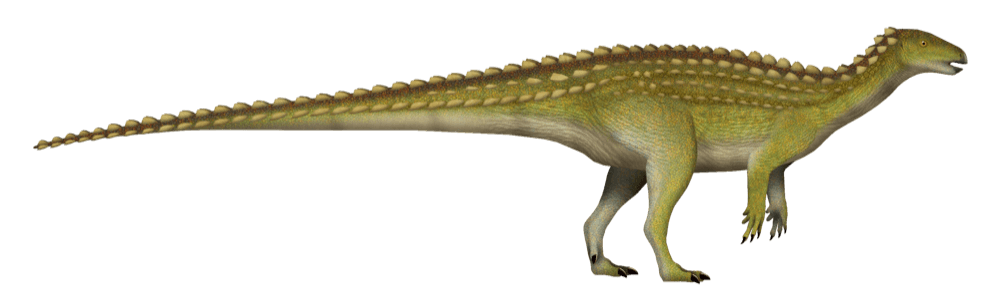 Scutellosaurus
