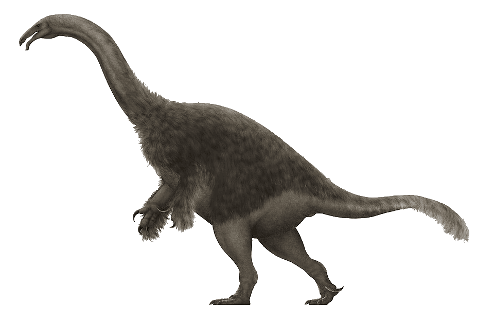 Segnosaurus — illustration