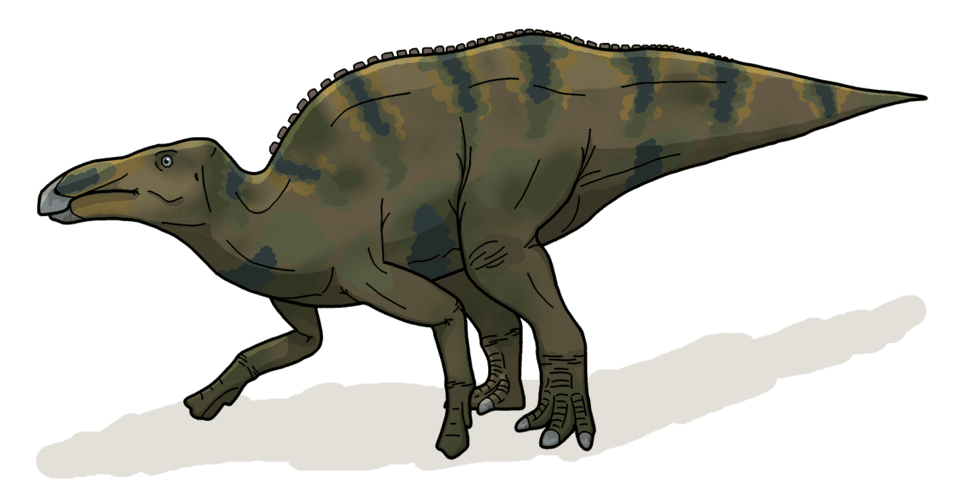 Shantungosaurus — illustration