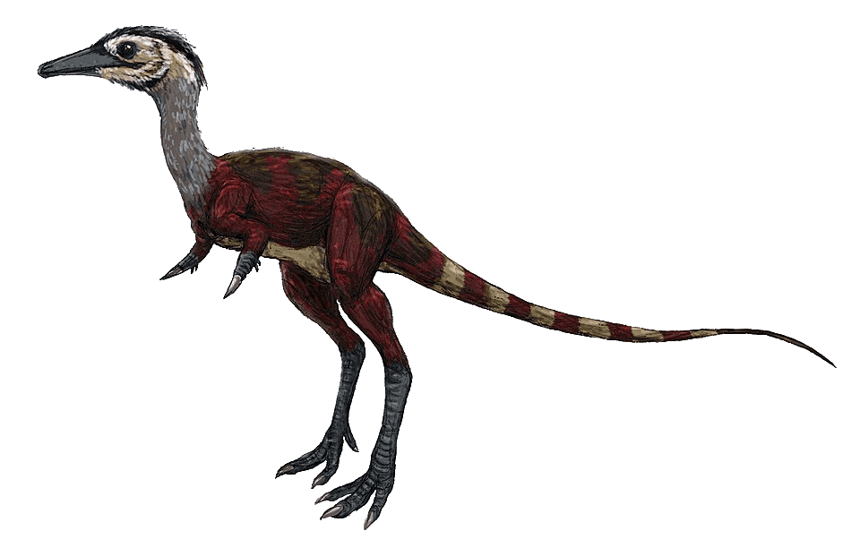 Shuvuuia — illustration