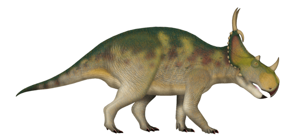 Spinops
