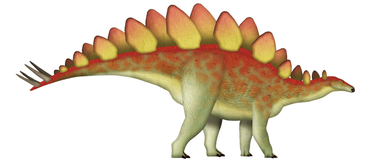 Stegosaurus — illustration