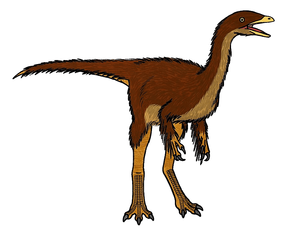 Struthiomimus — illustration