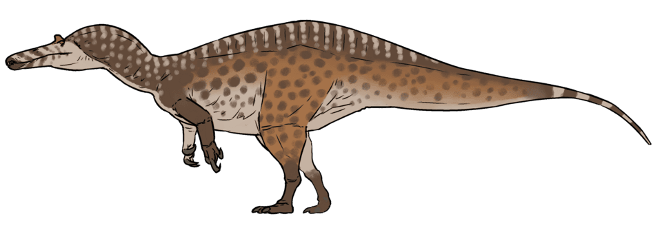 Suchomimus — illustration