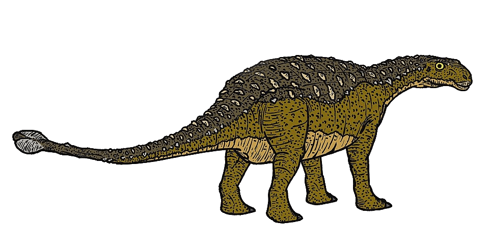 Talarurus — illustration